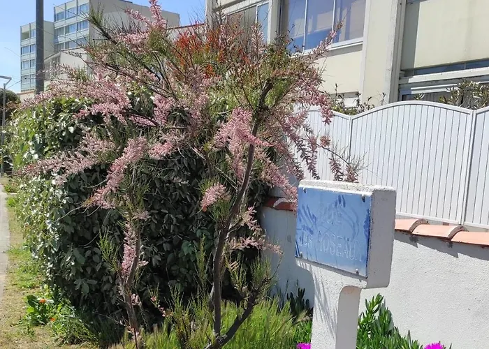 Cocon Ocean Saint-Hilaire-de-Riez